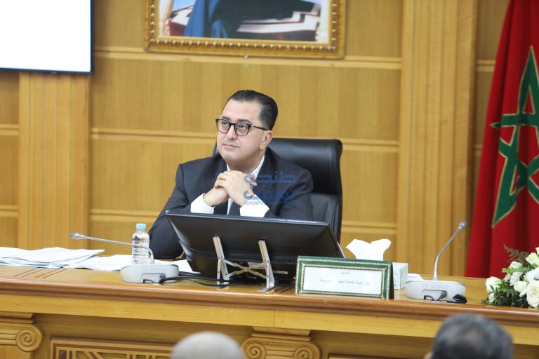 الوالي التازي يدعو لتعبئة مجتمعية للحفاظ على الملك العمومي والمساحات الخضراء